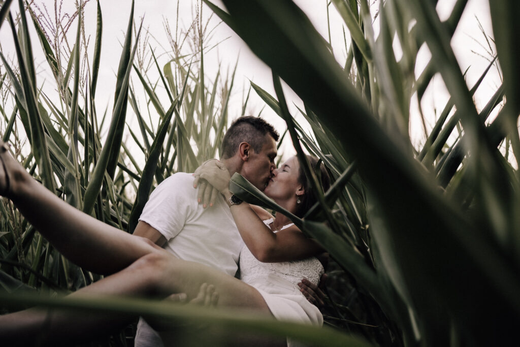 Paar, Paarfoto, Paarfotografie, Maisfeld, Liebe, Paarshooting, Coupleshooting, Maria Vetterlein, Fotografin, Fotografie, Bamberg, Hirschaid, Forchheim