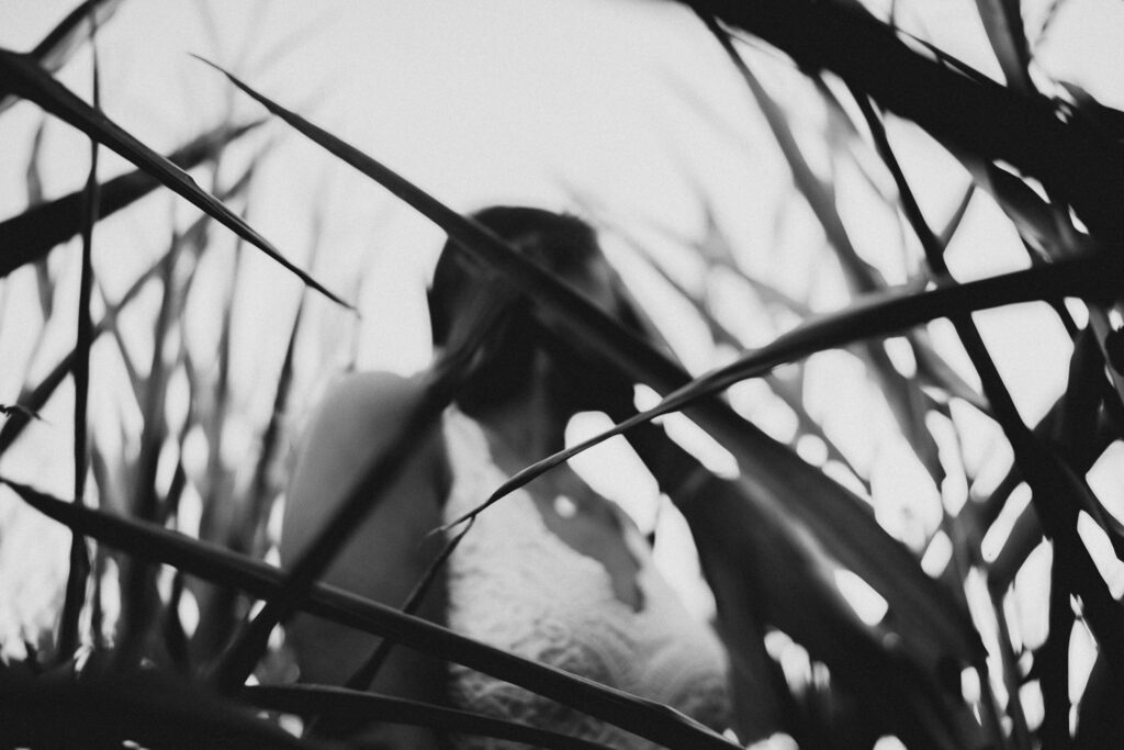 Paar, Paarfoto, Paarfotografie, Maisfeld, Liebe, Paarshooting, Coupleshooting, Maria Vetterlein, Fotografin, Fotografie, Bamberg, Hirschaid, Forchheim