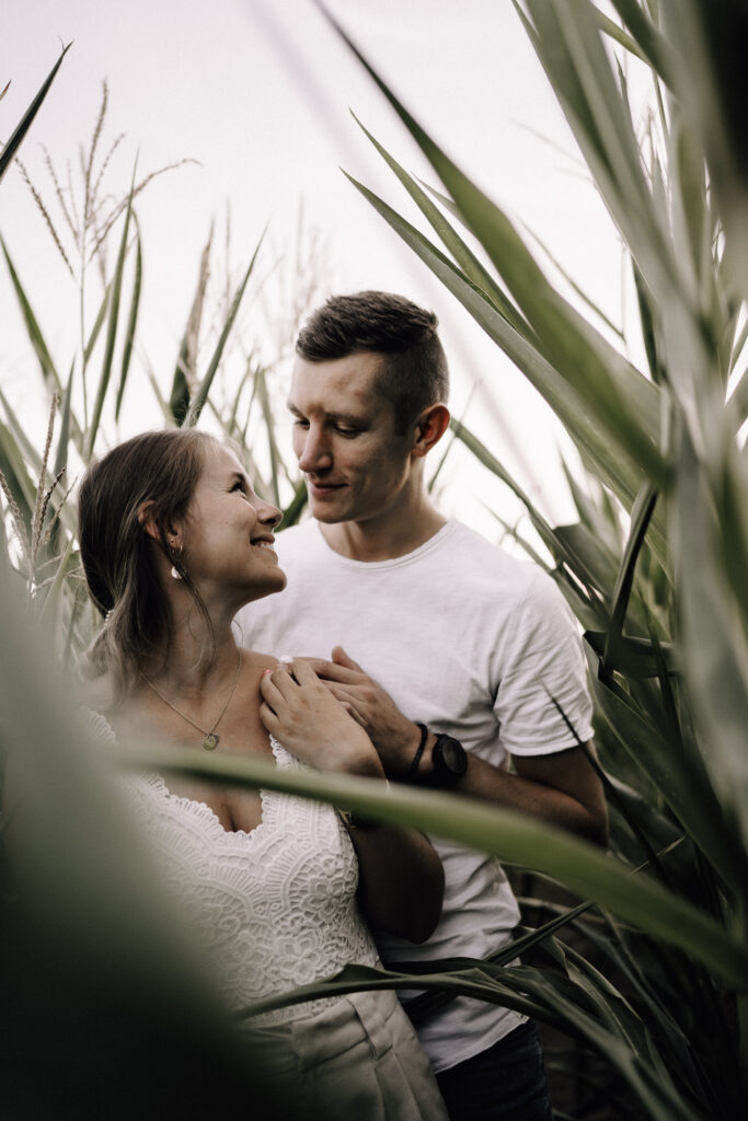 Paar, Paarfoto, Paarfotografie, Maisfeld, Liebe, Paarshooting, Coupleshooting, Maria Vetterlein, Fotografin, Fotografie, Bamberg, Hirschaid, Forchheim