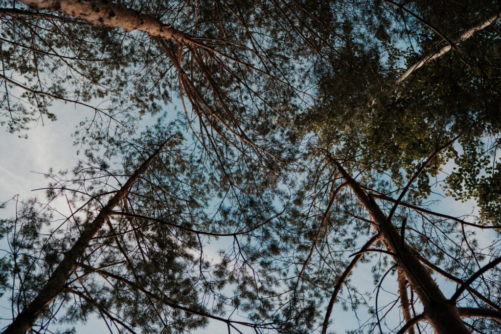 Business Portrait, Personal Branding, Yoga, Yogashooting, Yogalehrerin, Yogastudio, Outdoor Yoga, Indoor Yoga, Rothsee, Schwabach, Anahatalifestyleyoga