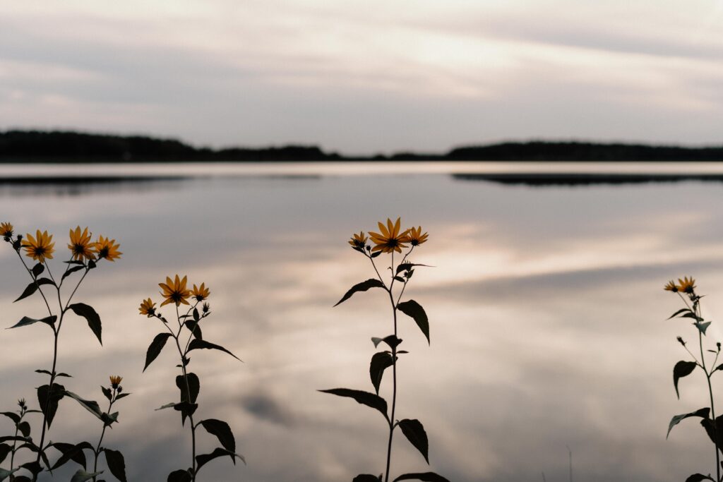 Business Portrait, Personal Branding, Yoga, Yogashooting, Yogalehrerin, Yogastudio, Outdoor Yoga, Indoor Yoga, Rothsee, Schwabach, Anahatalifestyleyoga