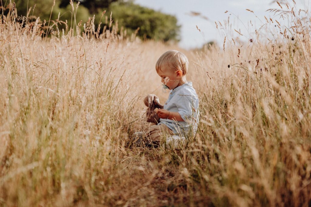 Familienshooting, Sommerwiese, Sonnenuntergang, Familienausflug, Regnitztal