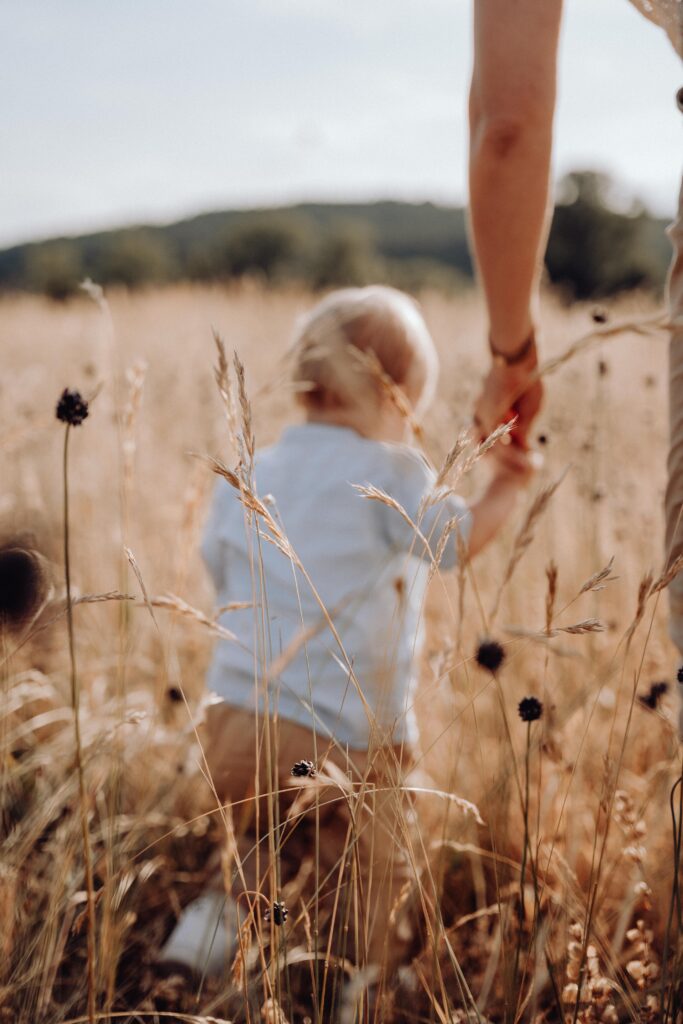 Familienshooting, Sommerwiese, Sonnenuntergang, Familienausflug, Regnitztal